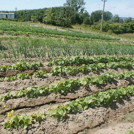 Lodge Agrodomki Okej -dom Edyta Gardna Wielka